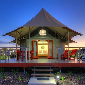 King Safari Tent
